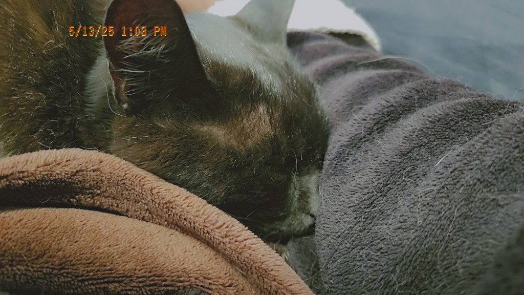 The Weight of&nbsp;Depression