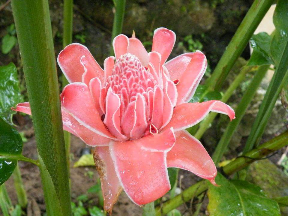 The “Onus” on&nbsp;Women